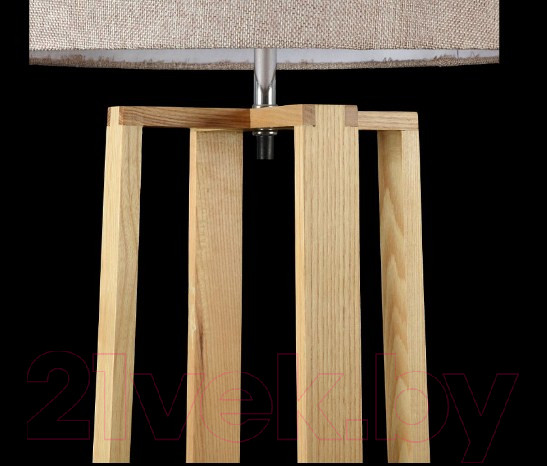 Изображение товара Торшер Freya Nubi FR5134-FL-01-BG