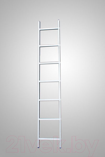 Изображение товара Приставная лестница Stairs AL107