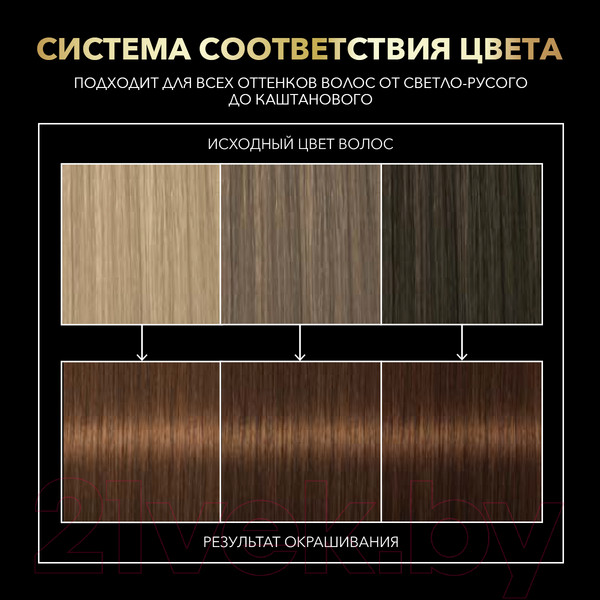 Изображение товара Крем-краска для волос Сьёсс Oleo Intense стойкая 5-86 (карамельный каштановый)