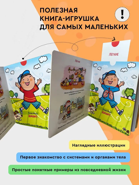 Изображение товара Книжка-панорамка Росмэн Мое тело. Играй-узнавай, твердая обложка