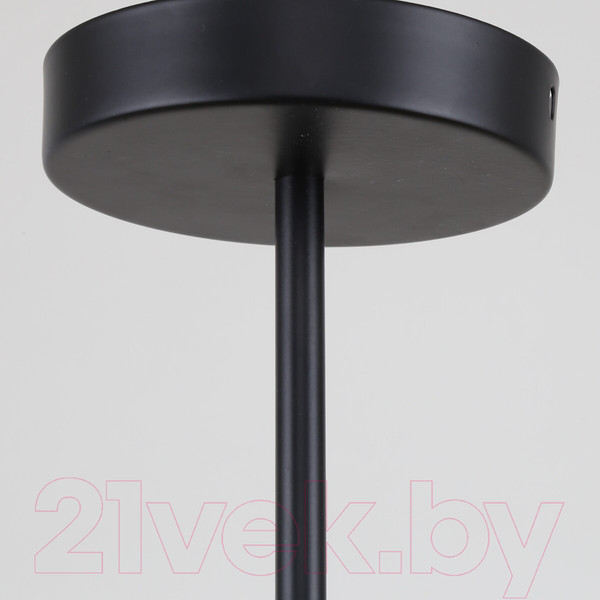 Изображение товара Люстра F-Promo Harsh 4082-7P