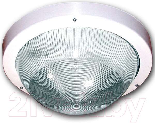 Изображение товара Светильник ЖКХ Элетех Селена 1 НПП 03-100-001 / 1005500125 (белый)