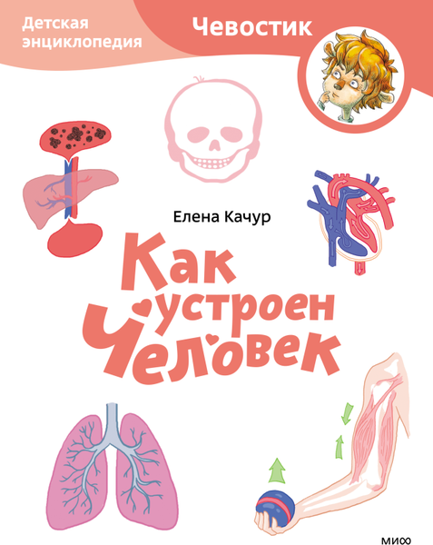 Изображение товара Энциклопедия МИФ Как устроен человек 2023, мягкая обложка (Качур Елена)