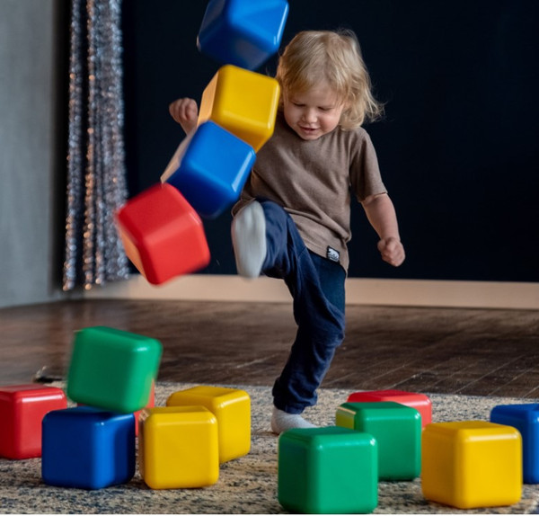 Изображение товара Развивающий игровой набор Соломон Набор цветных кубиков / 1930547