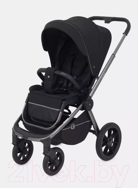 Изображение товара Детская универсальная коляска Rant Flex Pro 3 в 1 2023 / RA075 (Black)