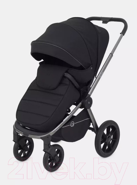 Изображение товара Детская универсальная коляска Rant Flex Pro 3 в 1 2023 / RA075 (Black)