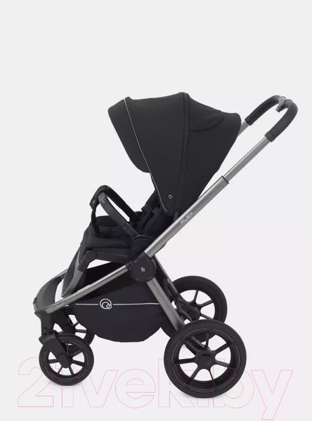 Изображение товара Детская универсальная коляска Rant Flex Pro 3 в 1 2023 / RA075 (Black)
