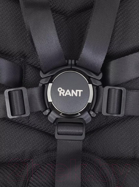 Изображение товара Детская универсальная коляска Rant Flex Pro 3 в 1 2023 / RA075 (Black)