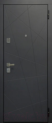 Изображение товара Входная дверь Staller Comfort TR 4 (96x205, правая)