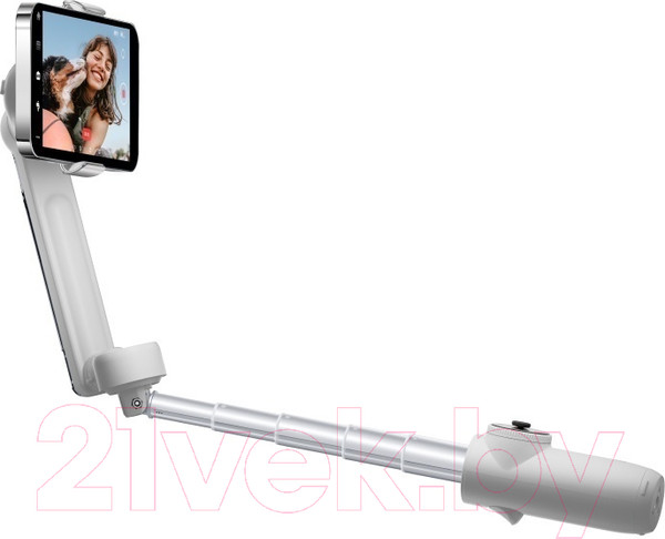 Изображение товара Стедикам Insta360 Flow Standalone / CINSABB/A