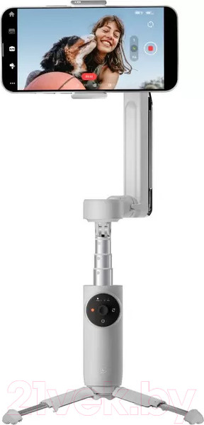 Изображение товара Стедикам Insta360 Flow Standalone / CINSABB/A