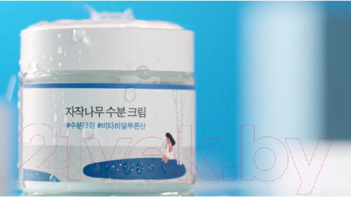 Изображение товара Крем для лица Round Lab Birch Juice Moisturizing Для чувствительной кожи с березовым сок (80мл)