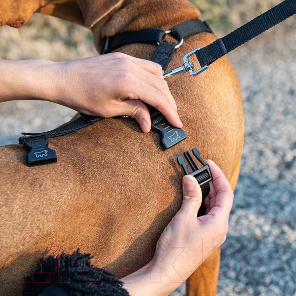 Изображение товара Шлея Ferplast Brave / 75578330 (M, черный, нейлон)