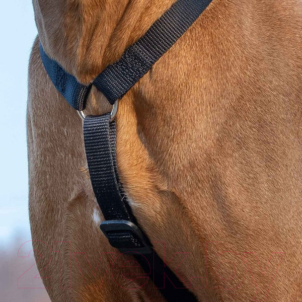 Изображение товара Шлея Ferplast Brave / 75578330 (M, черный, нейлон)