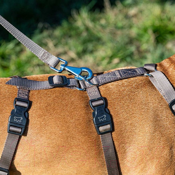 Изображение товара Шлея Ferplast Brave / 75578331 (M, коричневый, нейлон)