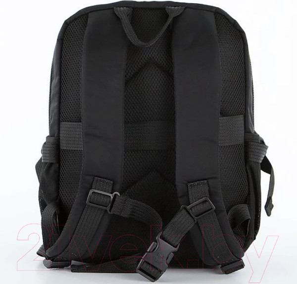 Изображение товара Рюкзак Volunteer 083-1819-11-BLK (черный)