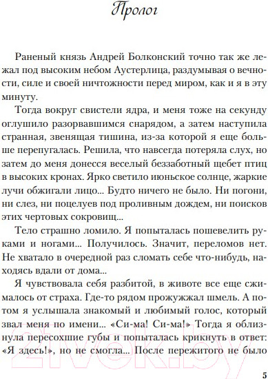 Изображение товара Книга Like Book В поисках сокровища (Лавринович А.)