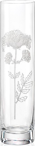 Изображение товара Ваза Bohemia Crystalex 82581/Q9491/240