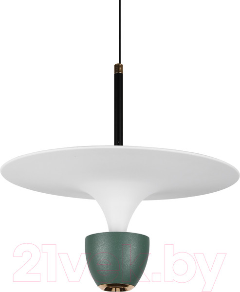 Изображение товара Потолочный светильник LED4U L8755-1 GN