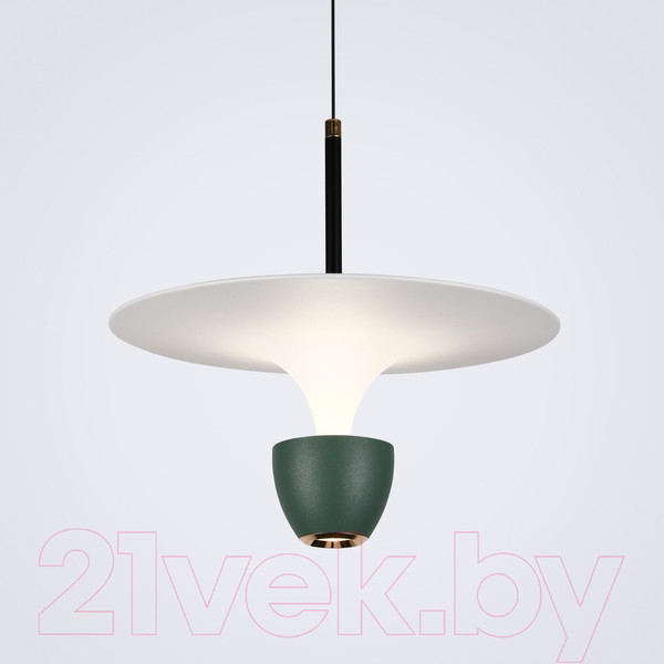 Изображение товара Потолочный светильник LED4U L8755-1 GN