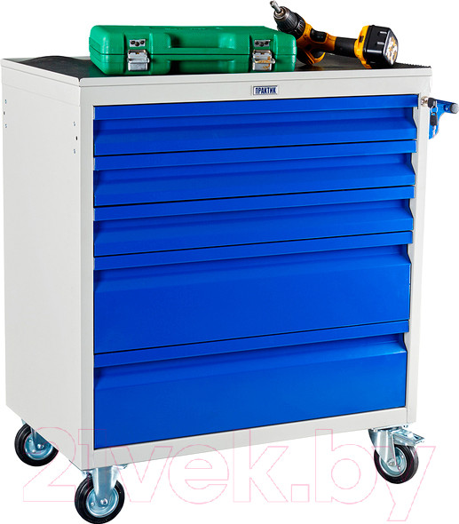 Изображение товара Тележка инструментальная Практик WDS-5