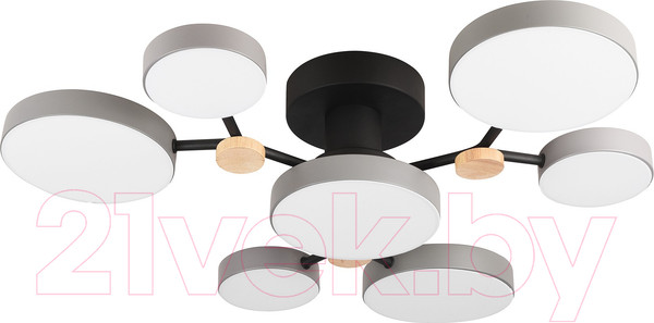 Изображение товара Потолочный светильник LED4U L3201-700 GR