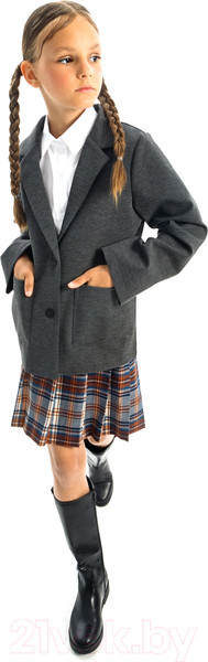 Изображение товара Пиджак детский Amarobaby Study Lass / AB-OD23-SL3002/11-146 (серый, р.146)
