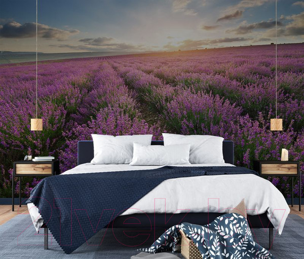 Изображение товара Фотообои листовые Citydecor Лавандовое поле (312x265)