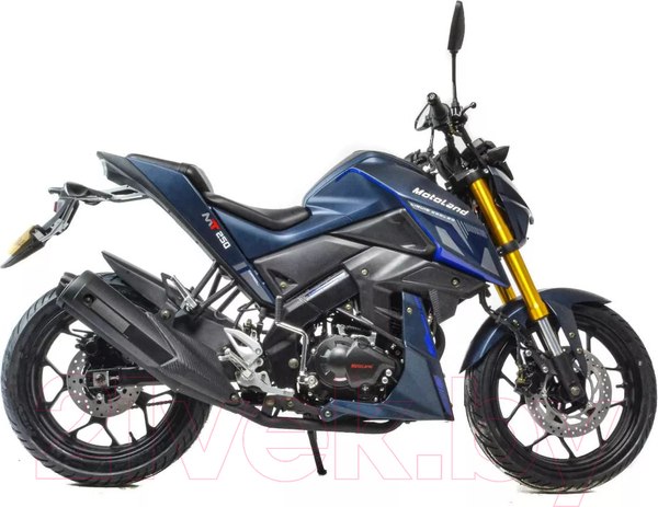 Изображение товара Мотоцикл Motoland XL250-F MT 250 172FMM-5/PR250 (синий)