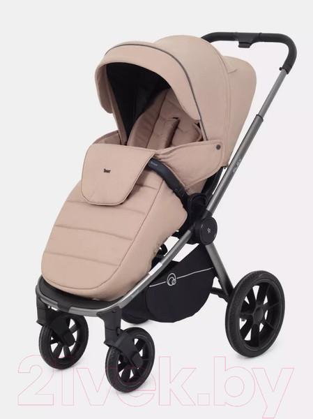 Изображение товара Детская универсальная коляска Rant Flex Pro 2 в 1 2023 / RA074 (Beige)