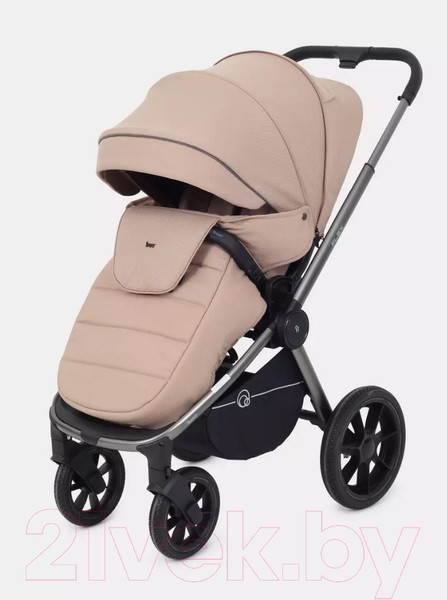 Изображение товара Детская универсальная коляска Rant Flex Pro 2 в 1 2023 / RA074 (Beige)
