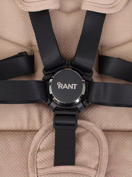 Изображение товара Детская универсальная коляска Rant Flex Pro 2 в 1 2023 / RA074 (Beige)