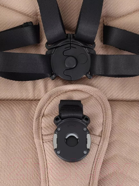 Изображение товара Детская универсальная коляска Rant Flex Pro 2 в 1 2023 / RA074 (Beige)