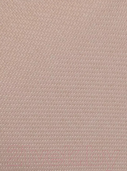 Изображение товара Детская универсальная коляска Rant Flex Pro 2 в 1 2023 / RA074 (Beige)