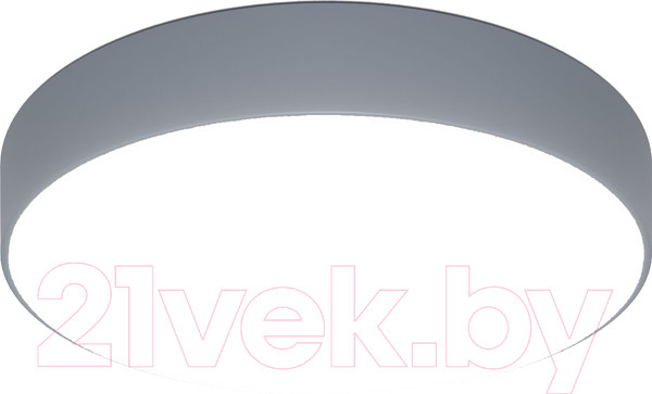 Изображение товара Потолочный светильник Евросвет 90319/1 (серый)