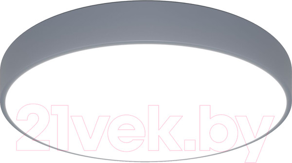 Изображение товара Потолочный светильник Евросвет 90320/1 (серый)