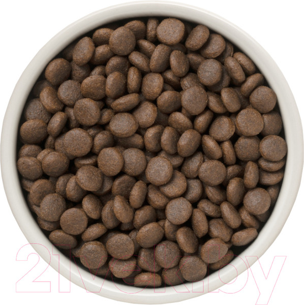 Изображение товара Сухой корм для собак Grandorf Dog 4 Meat Probiotic Medium&Maxi Breeds (3кг)