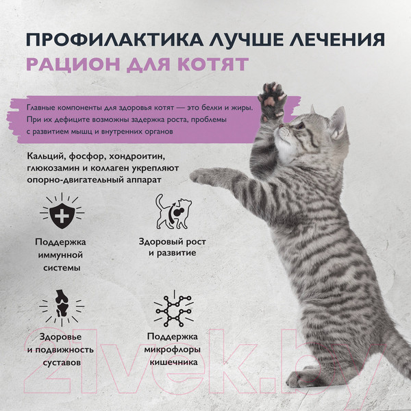 Изображение товара Сухой корм для кошек Brit Care Cat Kitten Healthy Growth с индейкой / 5066063 (7кг)