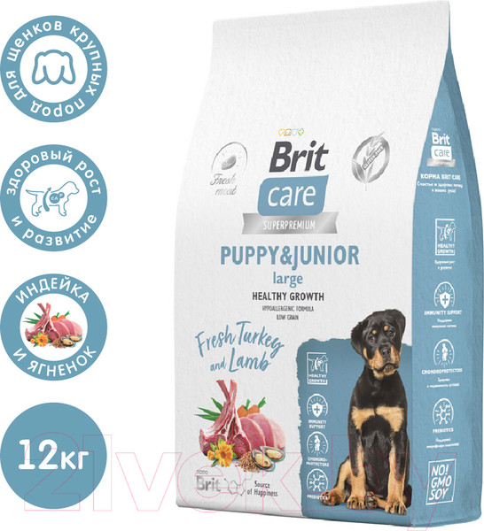 Изображение товара Сухой корм для собак Brit Care Dog Puppy&Junior L Healthy Growth с инд. и ягн. / 5066339 (12кг)
