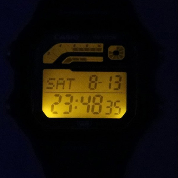 Изображение товара Часы наручные унисекс Casio WS-1600H-2A