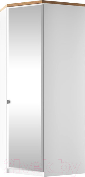 Изображение товара Шкаф Anrex Taurus 1DGPZ угловой (белый/дуб вотан)