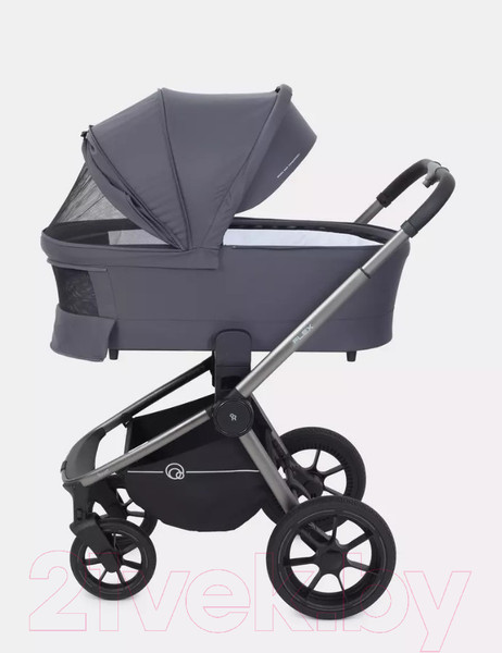 Изображение товара Детская универсальная коляска Rant Flex Pro 2 в 1 2023 / RA074 (Graphite)