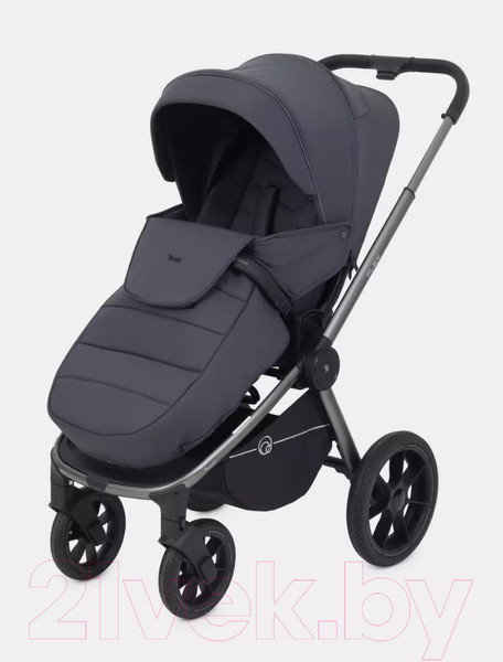 Изображение товара Детская универсальная коляска Rant Flex Pro 2 в 1 2023 / RA074 (Graphite)