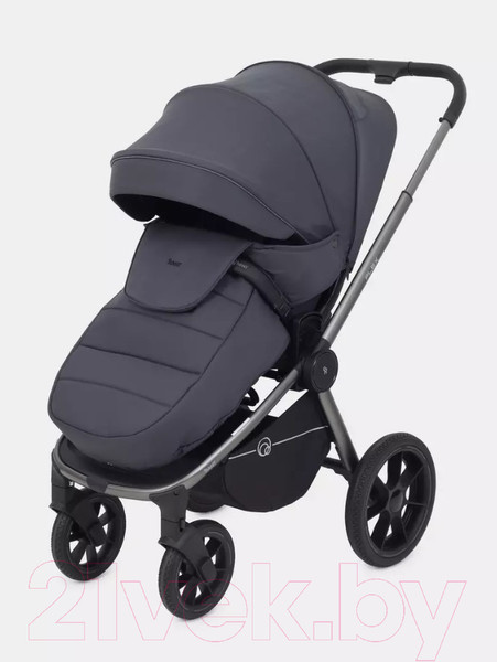 Изображение товара Детская универсальная коляска Rant Flex Pro 2 в 1 2023 / RA074 (Graphite)