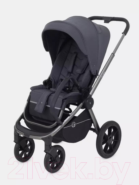 Изображение товара Детская универсальная коляска Rant Flex Pro 2 в 1 2023 / RA074 (Graphite)