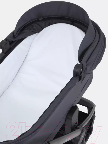 Изображение товара Детская универсальная коляска Rant Flex Pro 2 в 1 2023 / RA074 (Graphite)