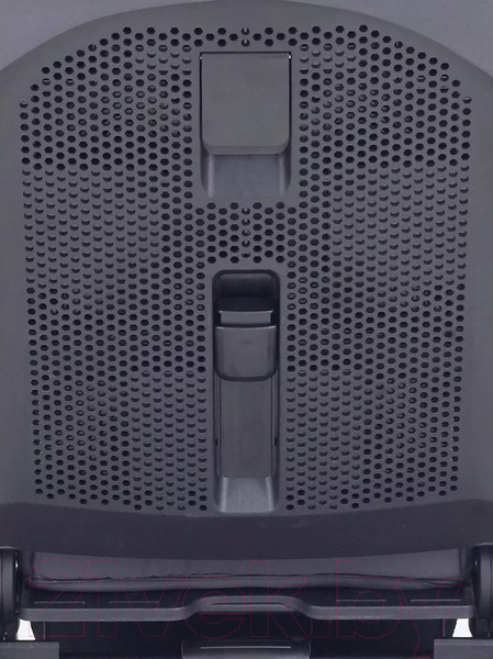 Изображение товара Детская универсальная коляска Rant Flex Pro 2 в 1 2023 / RA074 (Graphite)