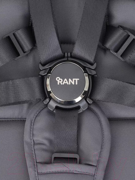 Изображение товара Детская универсальная коляска Rant Flex Pro 2 в 1 2023 / RA074 (Graphite)