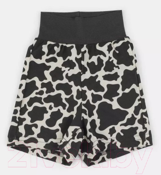 Изображение товара Комплект одежды для малышей Rant Milk-Aholic с шортами / 2-81/1 (Graphite, р.62)