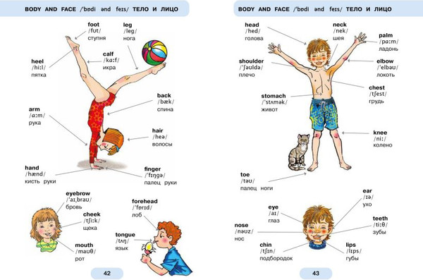 Изображение товара Учебное пособие Эксмо 620 первых английских слов в иллюстрациях, мягкая обложка